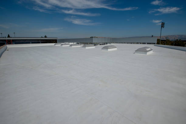 Best Rubber Roofing (EPDM, TPO)  in Winnsboro, SC