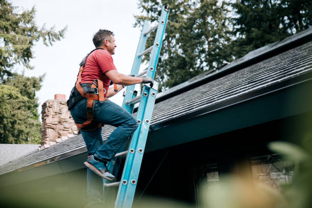 Best Roof Moss and Algae Removal  in Winnsboro, SC